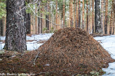 Foto: ©keleny by fotolia.com Foto: ©keleny by fotolia.com