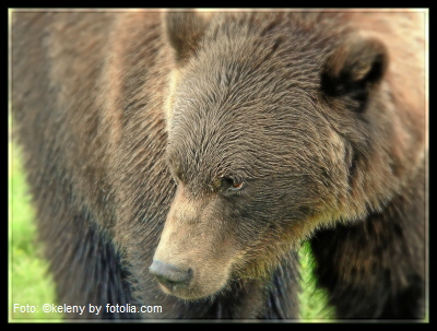 Foto: ©keleny by fotolia.com Foto: ©keleny by fotolia.com